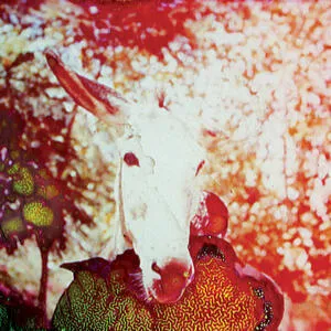 If he dies, if if if if if if if